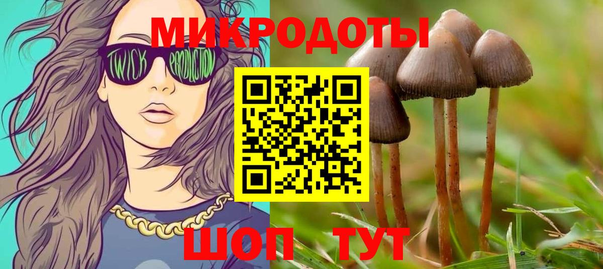 Псилоцибиновые грибы MAGIC MUSHROOMS Павловский Посад